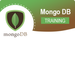 MongoDB Training Course In Mumbai