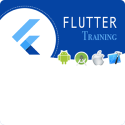 Flutter Training in Mumbai