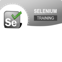 Selenium Training Institute In Mumbai