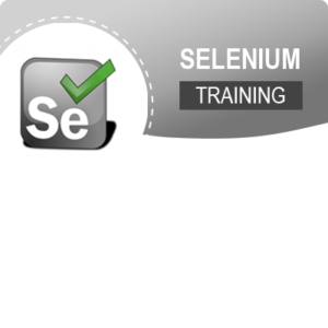 Selenium Training Institute In Mumbai