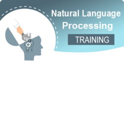 Natural Language Processing (NLP)