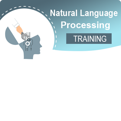 Natural Language Processing (NLP)